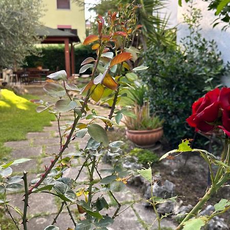 La Casa Di Gemma B&B Villa Vomano Exteriör bild