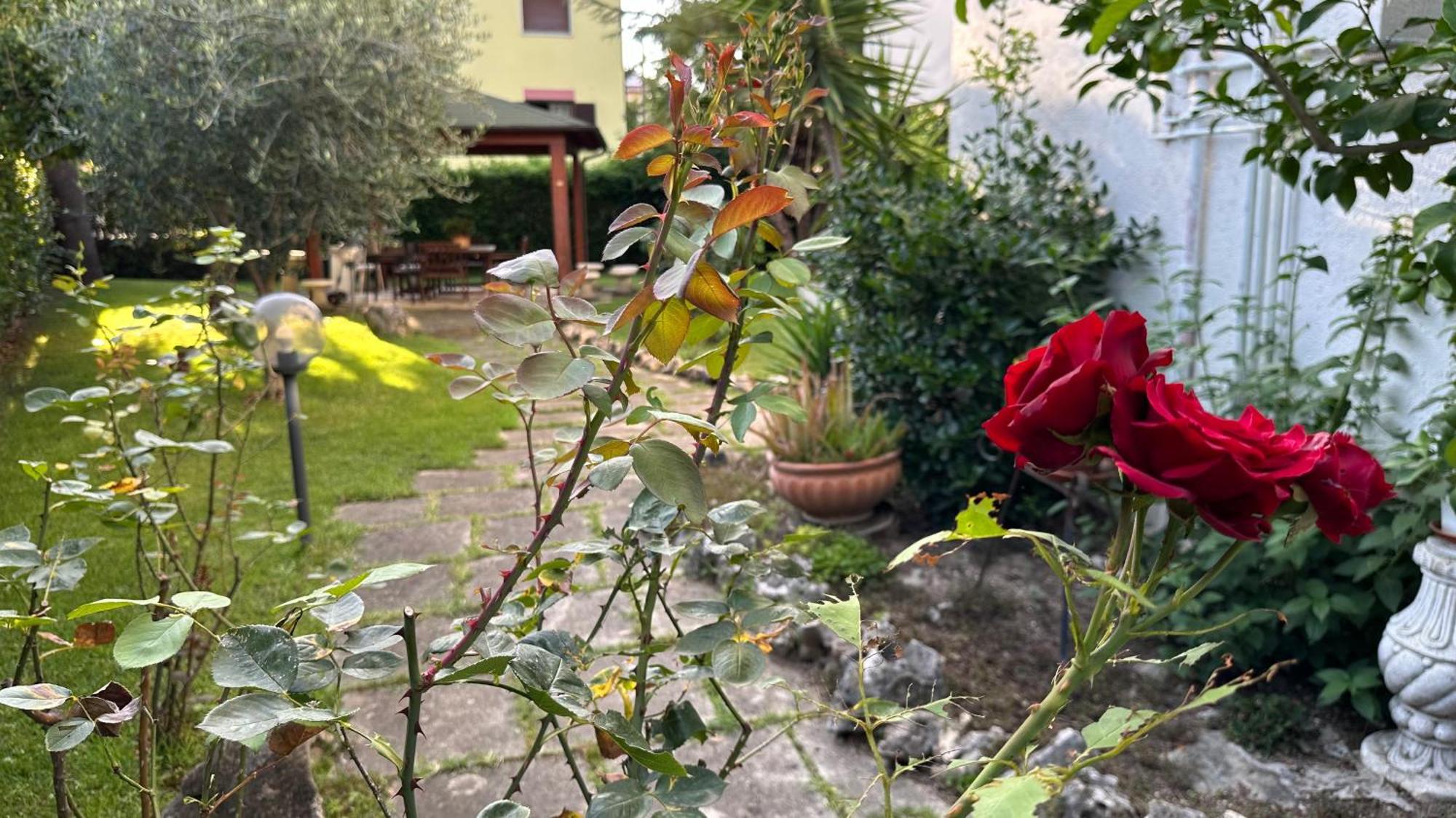 La Casa Di Gemma B&B Villa Vomano Exteriör bild